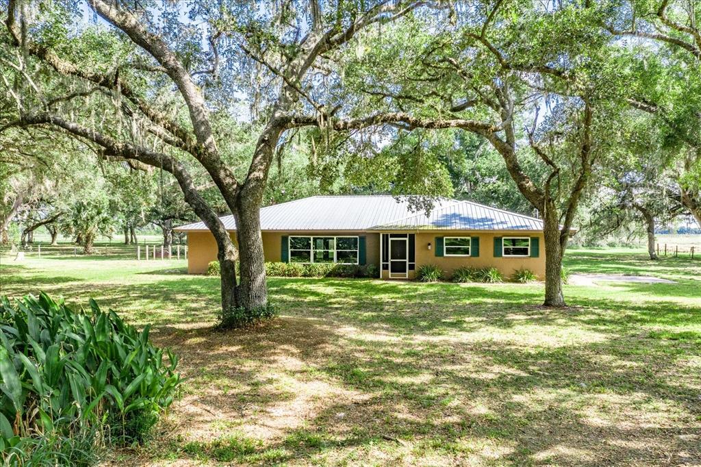 VENUS DE MILO SUB - фото