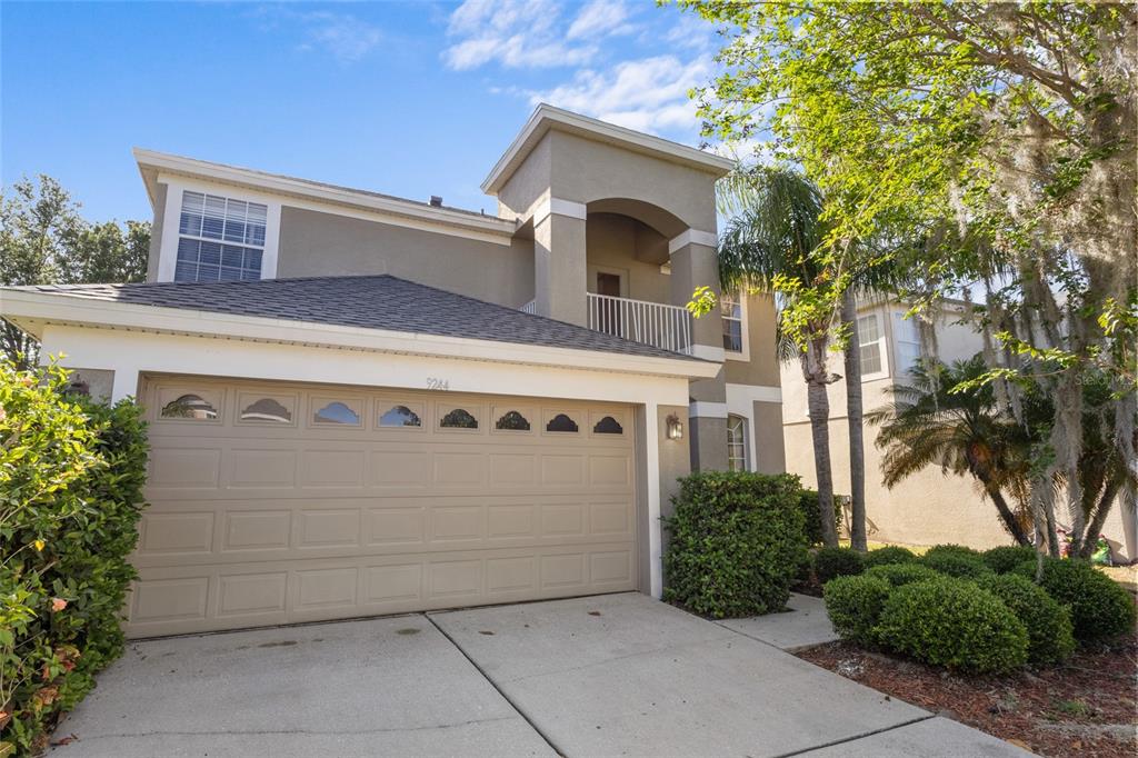 CYPRESS CHASE - фото