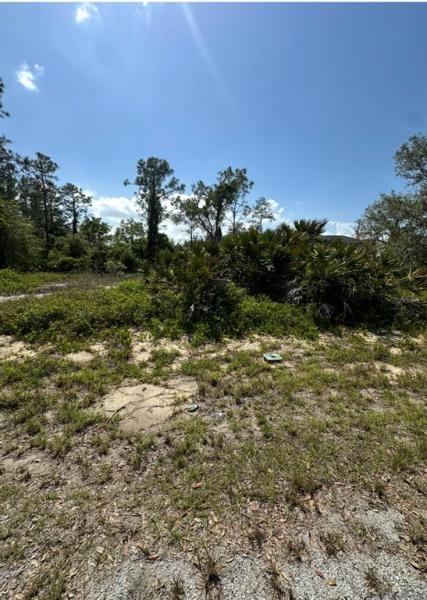 POINCIANA NBRHD 02 WEST VILLAGE 07