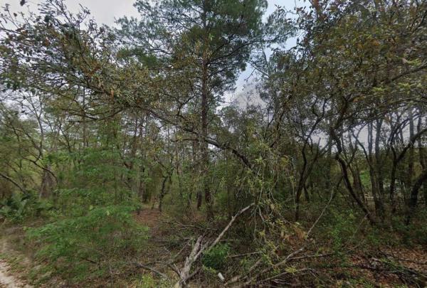 ST JOHNS RIVERSIDE ESTATES