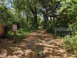 DRUID PARK AMD - фото