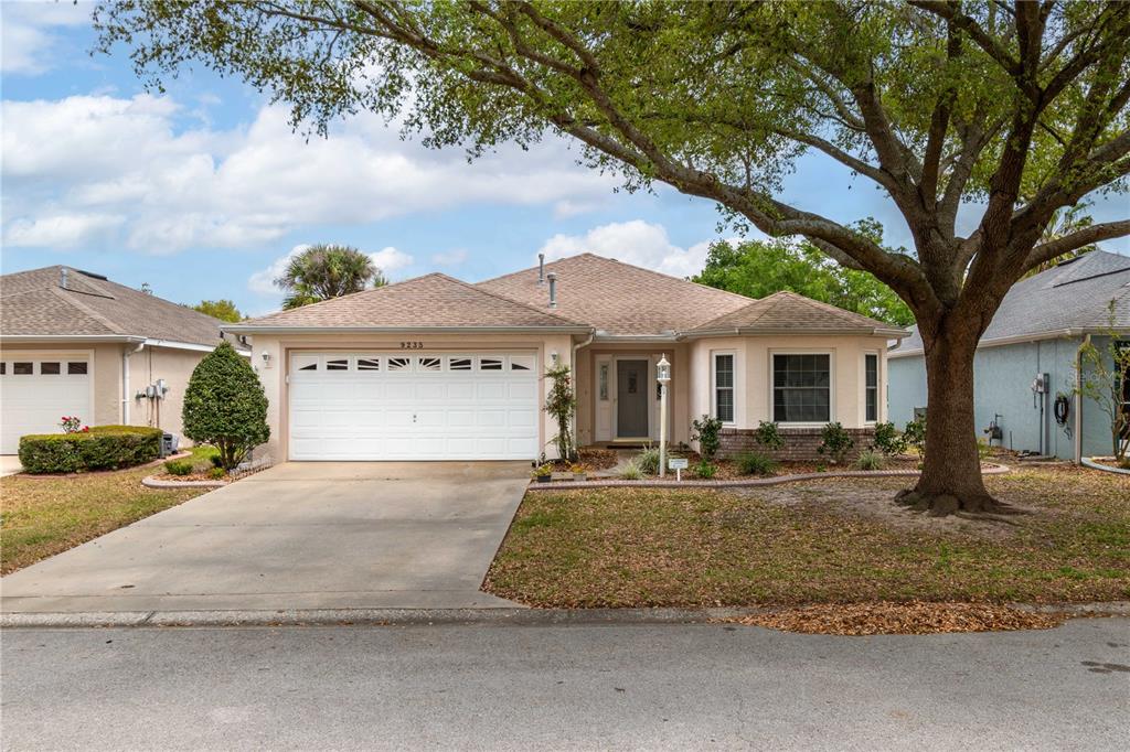 ON TOP OF THE WORLD PHASE 1A - фото