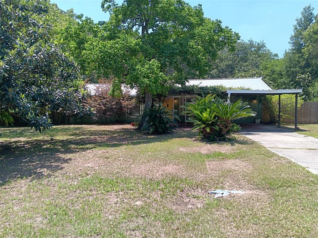 FOX RUN - фотография FOX RUN - фото