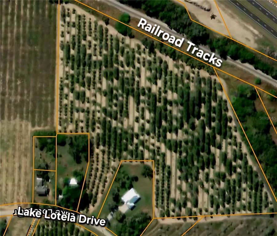 HOLLY SHORE - фото