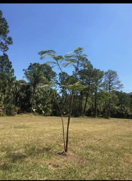 HAPPY TRAILS UNIT 3 UNREC