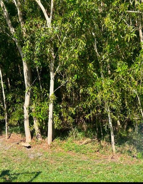 PORT ST LUCIE SEC 43