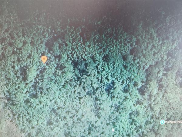 SUBURBAN ESTATES UNIT D UNREC