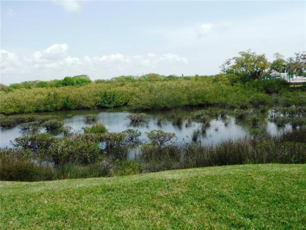 BRIAR CREEK MOBILE HOME COMMUNITY II CONDO