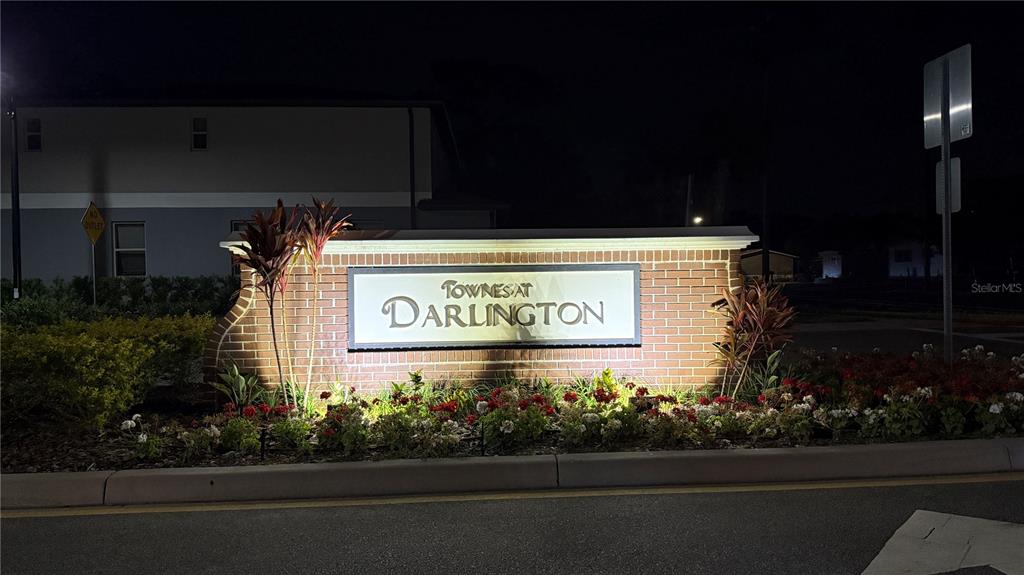 TOWNES/DARLINGTON - фото