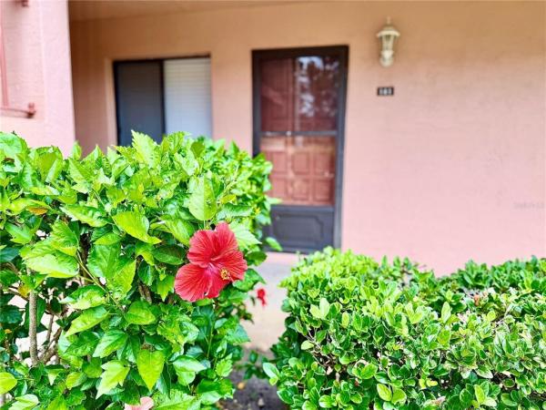 EAST LAKE WOODLANDS CONDO VI