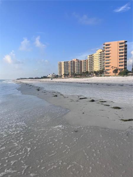 REGATTA BEACH CLUB CONDO