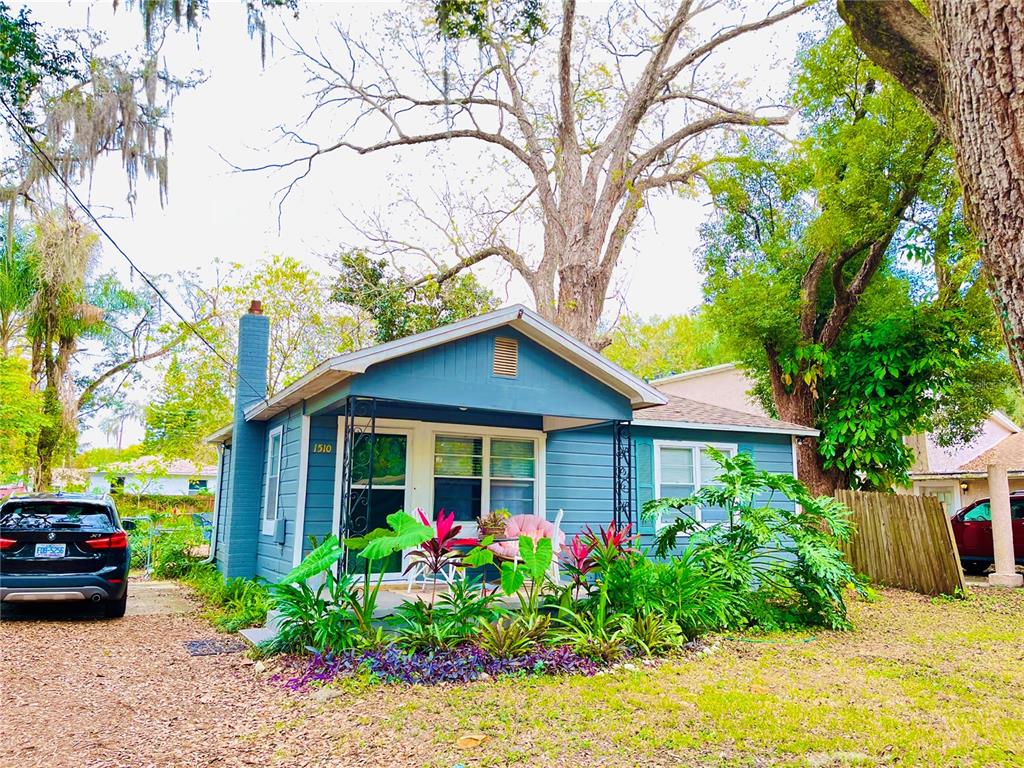 CALIFORNIA HEIGHTS - фото