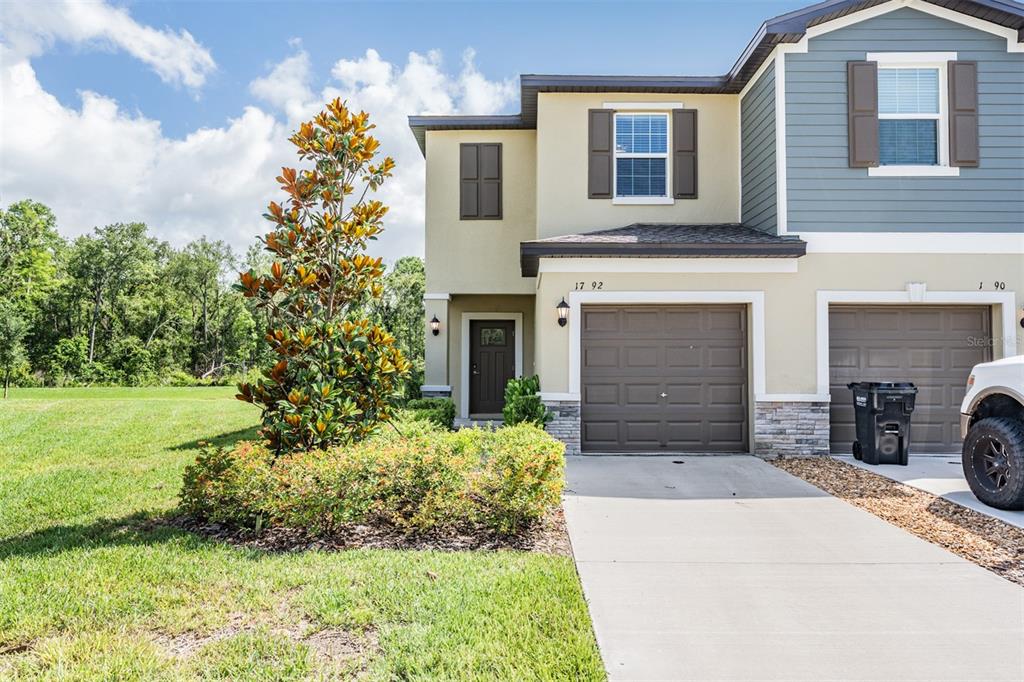 ANGELINE PH 3A - фото