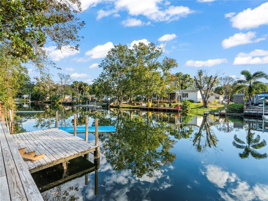 WEEKI WACHEE RIVER RETREATS - фото