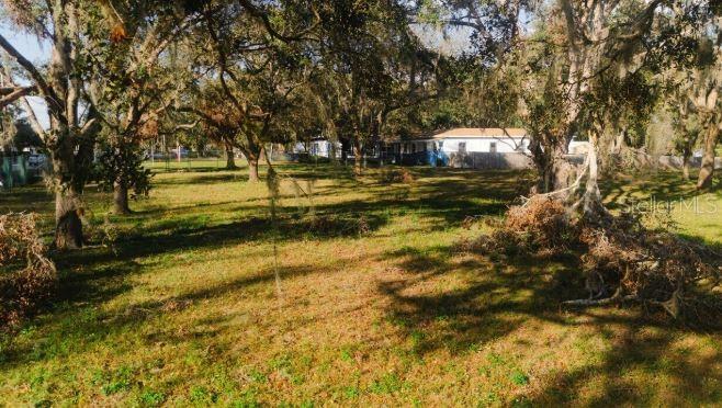 TOWN OF CITRUS PARK - фото