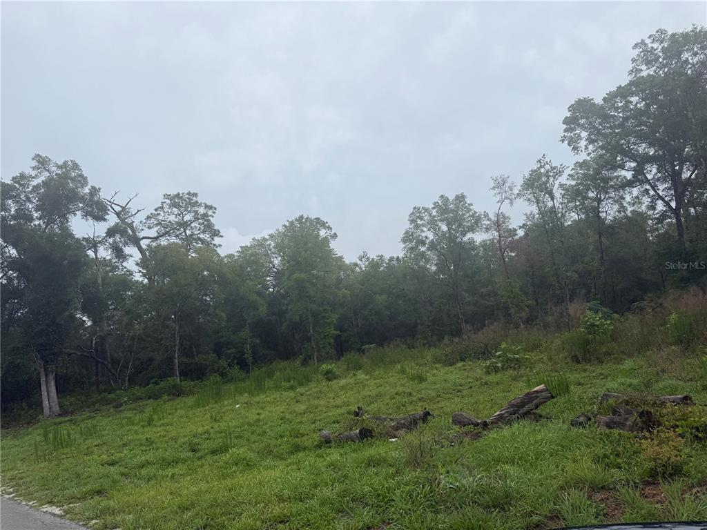 DELEON SPGS HEIGHTS - фото