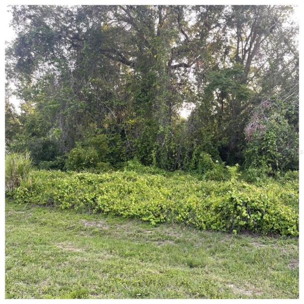 QUAIL HOLLOW ON RIVER