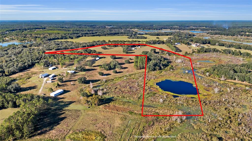 LAKE ELLA - фото