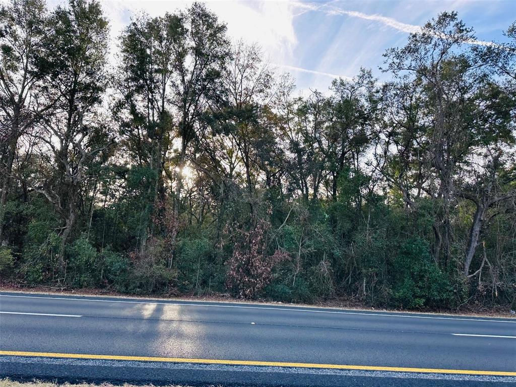 CIRCLE K RANCH - фото