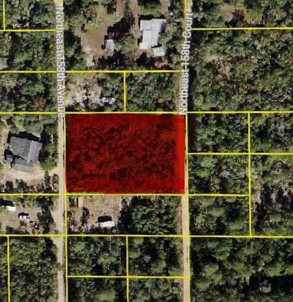 OCALA NATIONAL FOREST CAMPSITES