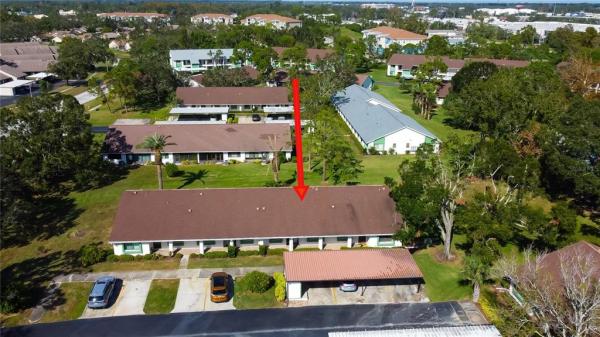 VILLAGE ON THE GREEN