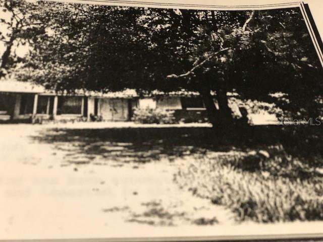 UNPLATTED - фото