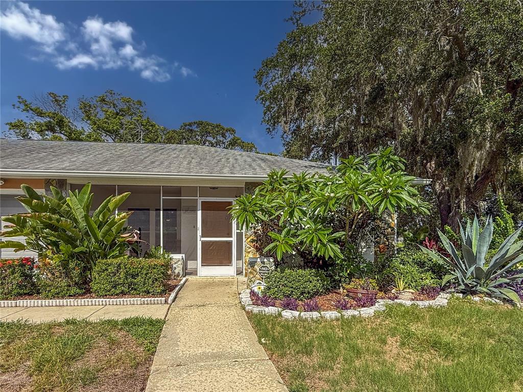 TIMBER OAKS - фото