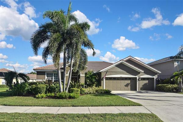 VILLAGES/PINE TREE SPRUCE PINE