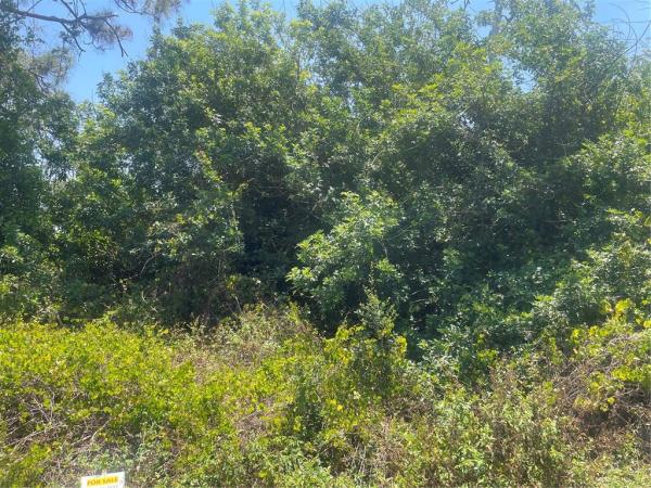 PORT CHARLOTTE SEC 065