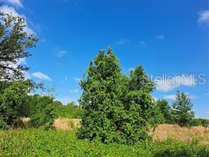 GROVELAND FARMS 05-23-25