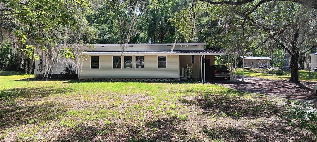 OLIVE PALM - фото