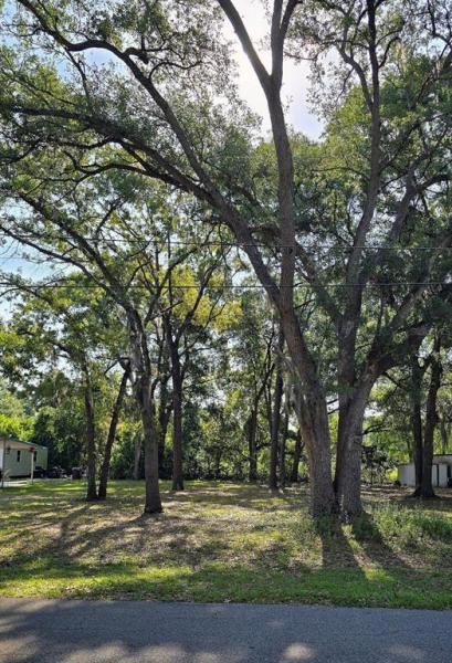 ORANGE BLOSSOM HILLS UNIT NO. 15