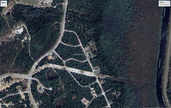 SILVER SPRINGS SHORES