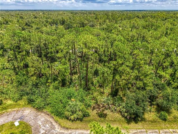 PORT CHARLOTTE SUB 46