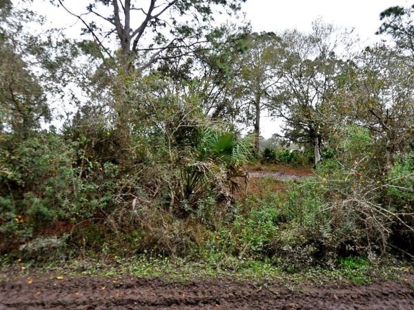 PORT CHARLOTTE SUB 30