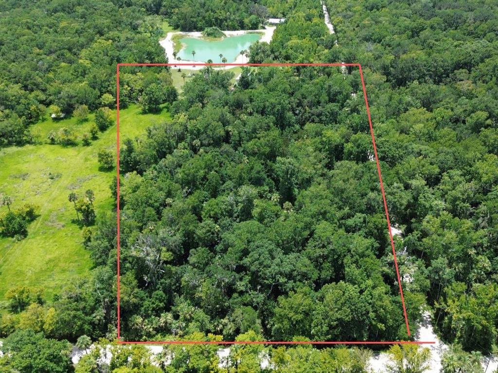 ASSESSORS SIBBALD GRANT - фото