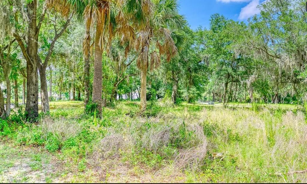 LIGHTHOUSE POINTE PH 2 - фото