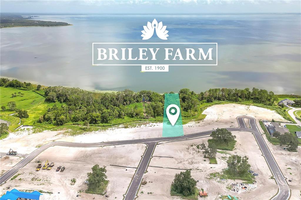 BRILEY FARM - фотография BRILEY FARM - фото