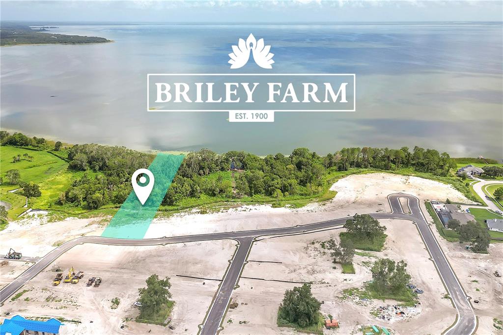 BRILEY FARM - фотография BRILEY FARM - фото