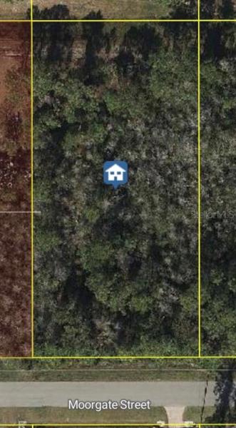 CAPE ORLANDO ESTATES