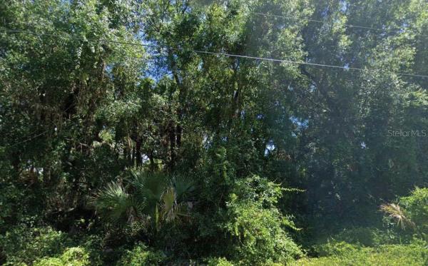 PORT CHARLOTTE SUB 25