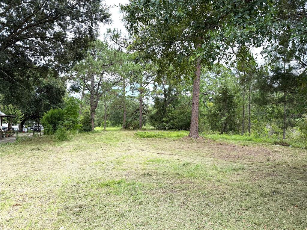 EAST ORLANDO ESTATES - фото