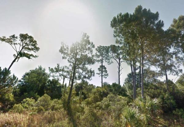 PORT CHARLOTTE SUB 47