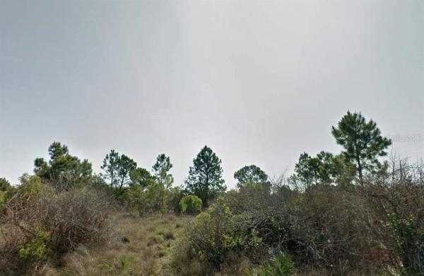 PORT CHARLOTTE SUB 45