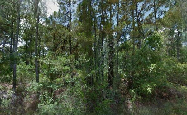 PORT CHARLOTTE SUB 25