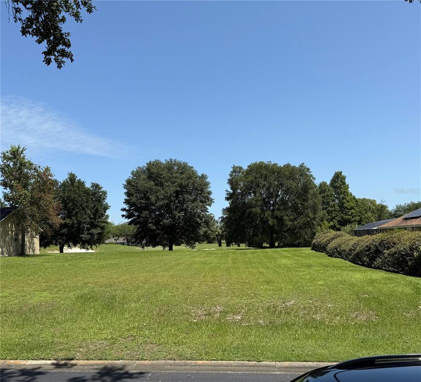 LAKES LADY LAKE - фото