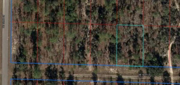 WILLISTON HYLNDS GOLF & C CLUB ESTATE