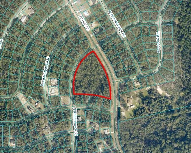 SILVER SPGS SHORES - фото