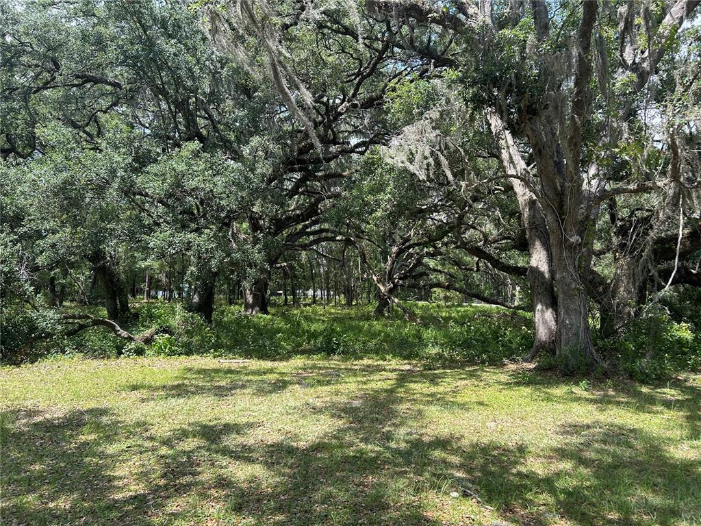 SMALL FARMS UNIT 2 - фото