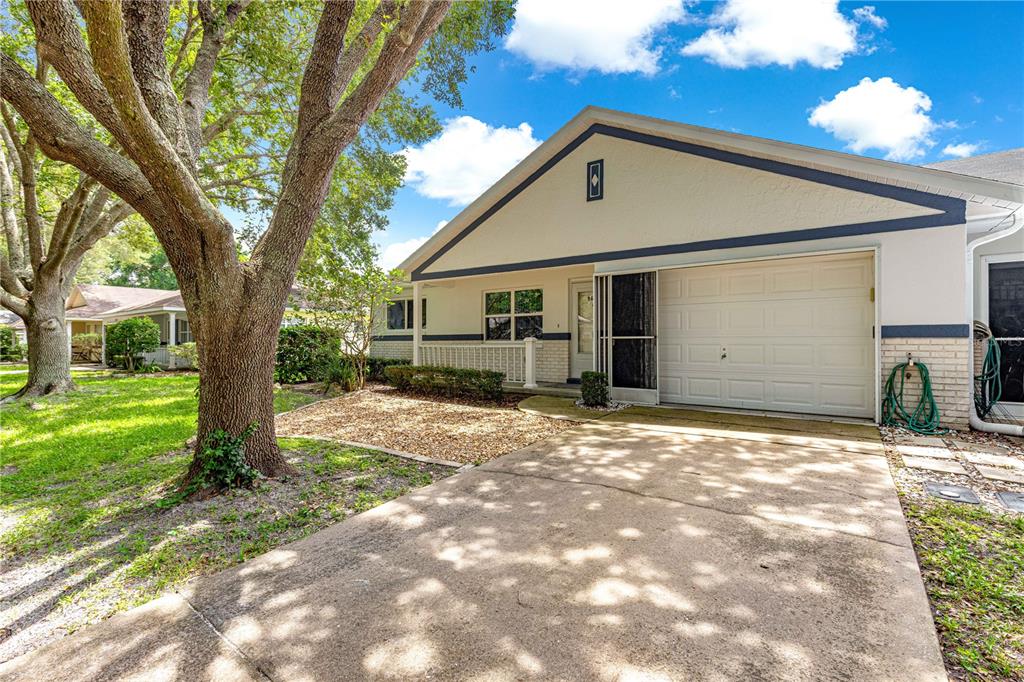 ON TOP OF THE WORLD - фото